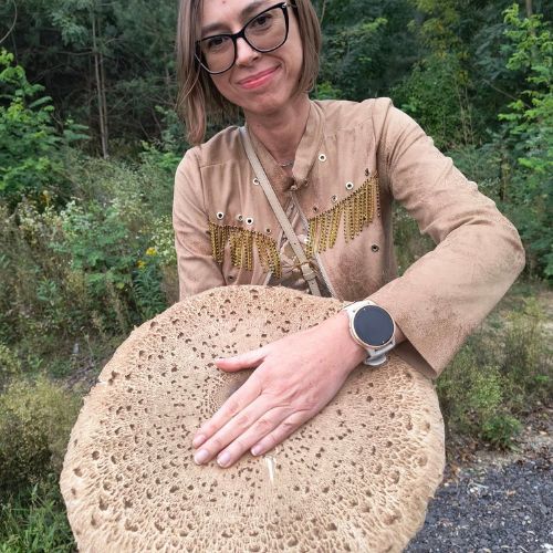 Grzyb jak parasol! Rekordowa kania zachwyciła internautów