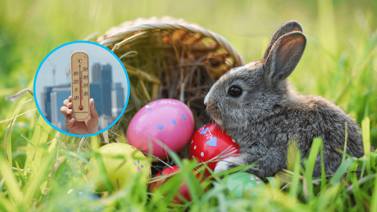 Zaskakująca prognoza. Już wiemy jaka będzie pogoda na Wielkanoc 2026