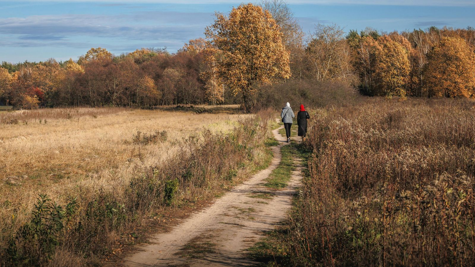Zamieszkasz na wsi, tylko jeśli się na to zgodzisz. Nowe prawo w drodze, notariusz ma być obowiązkowy