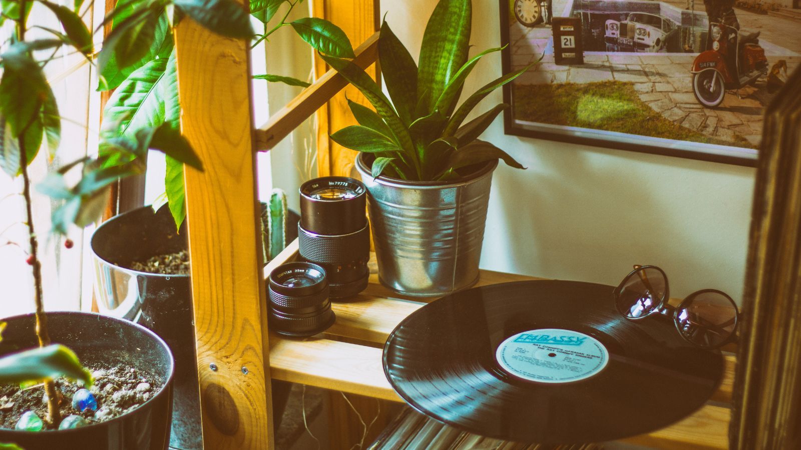 Stare płyty warte fortunę. Za te albumy kolekcjonerzy są w stanie wydać każde pieniądze