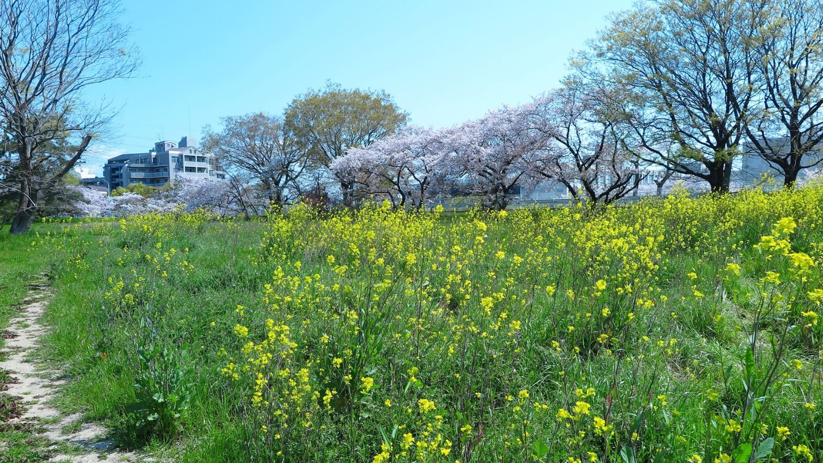 Nowa prognoza na Wielkanoc. Polaków czeka zaskoczenie, pogoda gwałtownie się zmieni