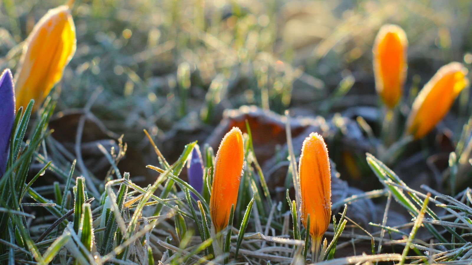 Już jest pogoda na majówkę. IMGW podało szczegóły, nie tego można było się spodziewać