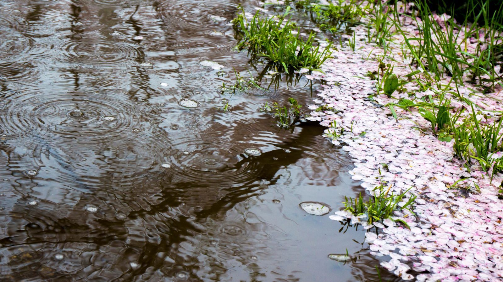 IMGW podało najnowsze prognozy pogody. Zima wraca do Polski, nawet -15 st. C