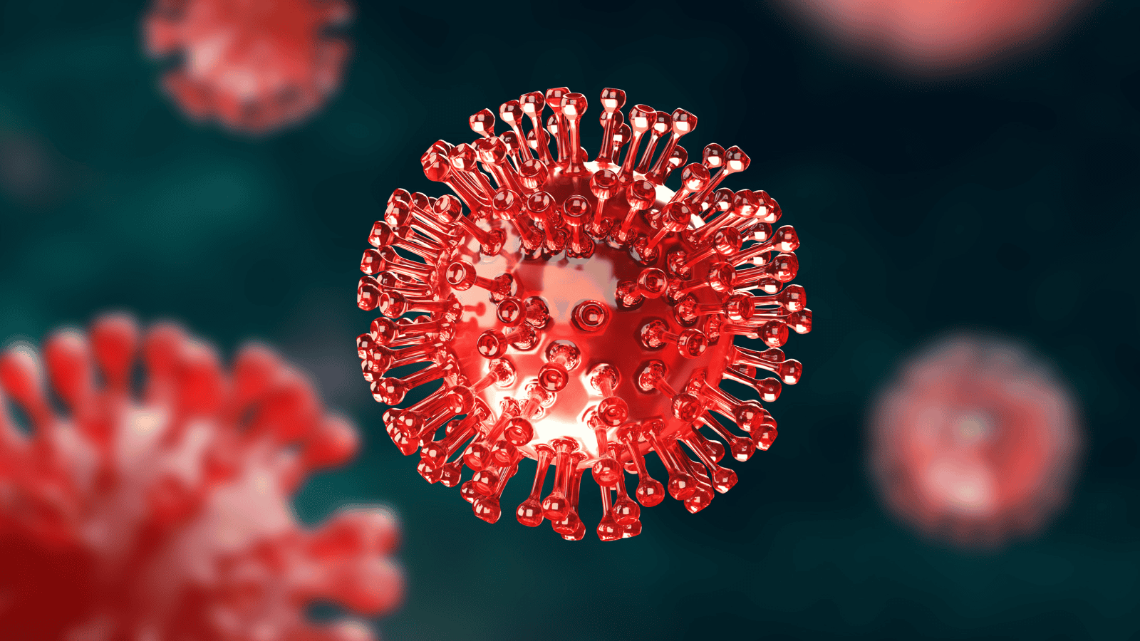 Z ostatniej chwili! Wykryto groźnego wirusa. Epidemia za południową granicą Polski