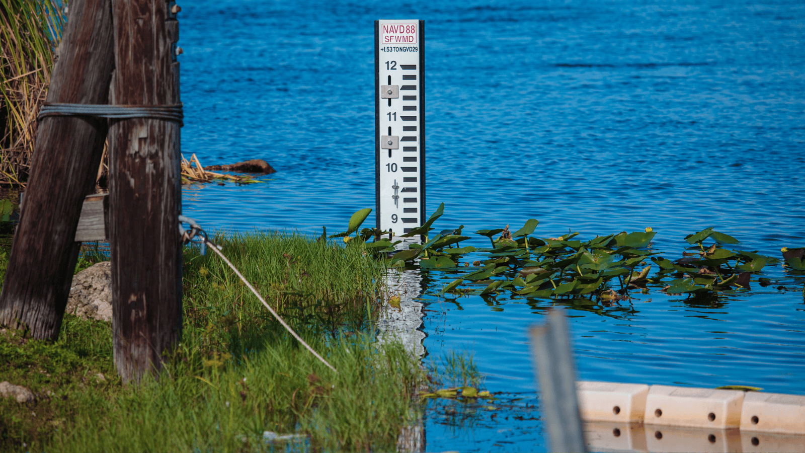IMGW wydał ostrzeżenia hydrologiczne drugiego stopnia. Poziom wód wzrasta