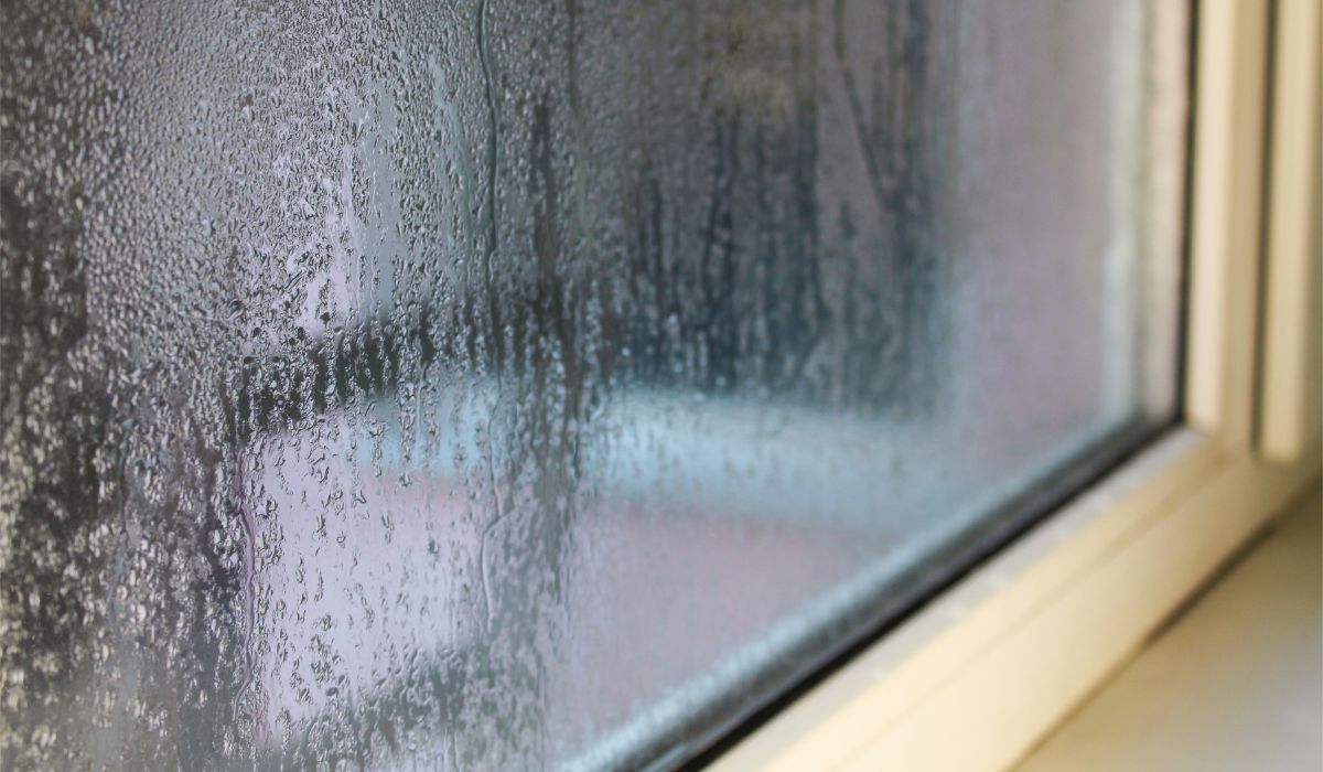 Połóż na parapecie i przetrzyj tym okna. Zapomnisz o pleśni i wilgoci w mieszkaniu