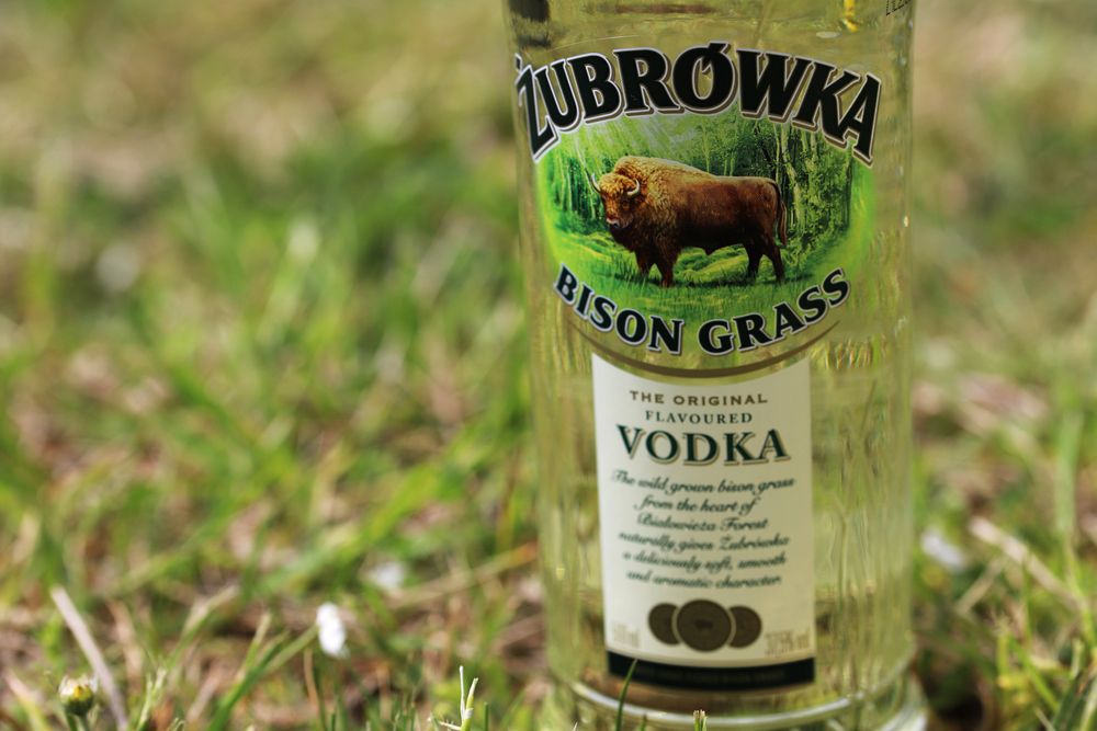 Tak rząd "obronił" rolników przed Mercosur. Tylko dwa polskie produkty pod ochroną