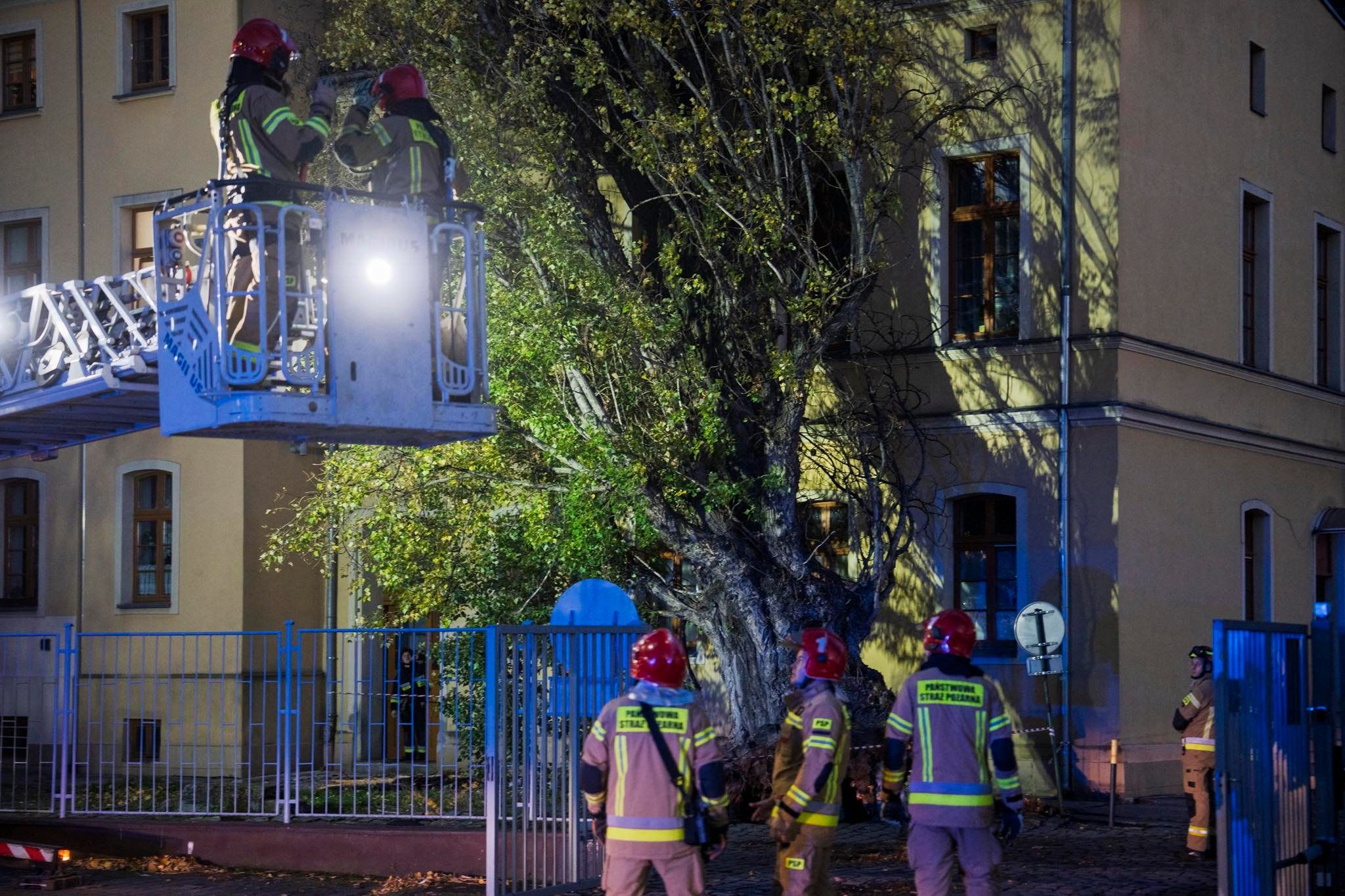 Potężna burza przeszła przez polskie miasto. Powalone drzewa, ewakuacja mieszkańców