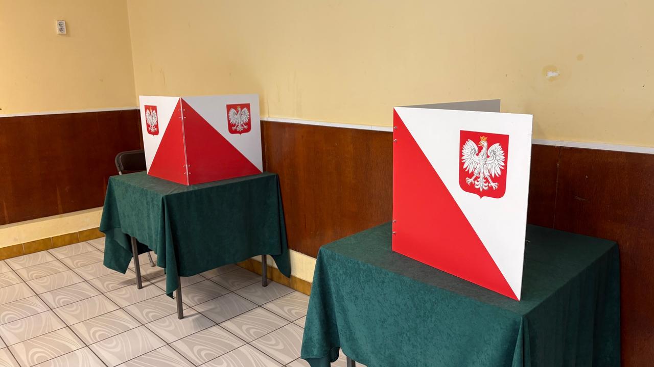 wybory