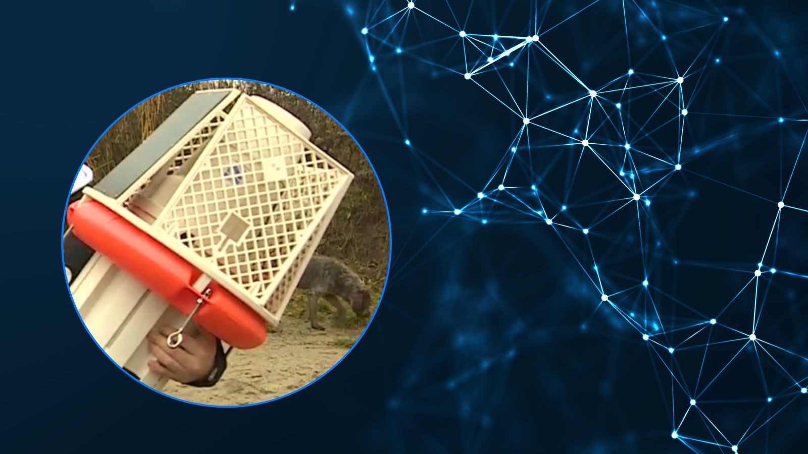 Przełomowy wynalazek Polaka. Eksperci widzą potencjał na ogromne oszczędności