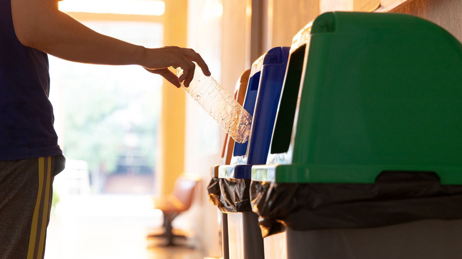 Zasady segregacji śmieci w Polsce. Tego nigdy nie wyrzucaj do niebieskiego pojemnika