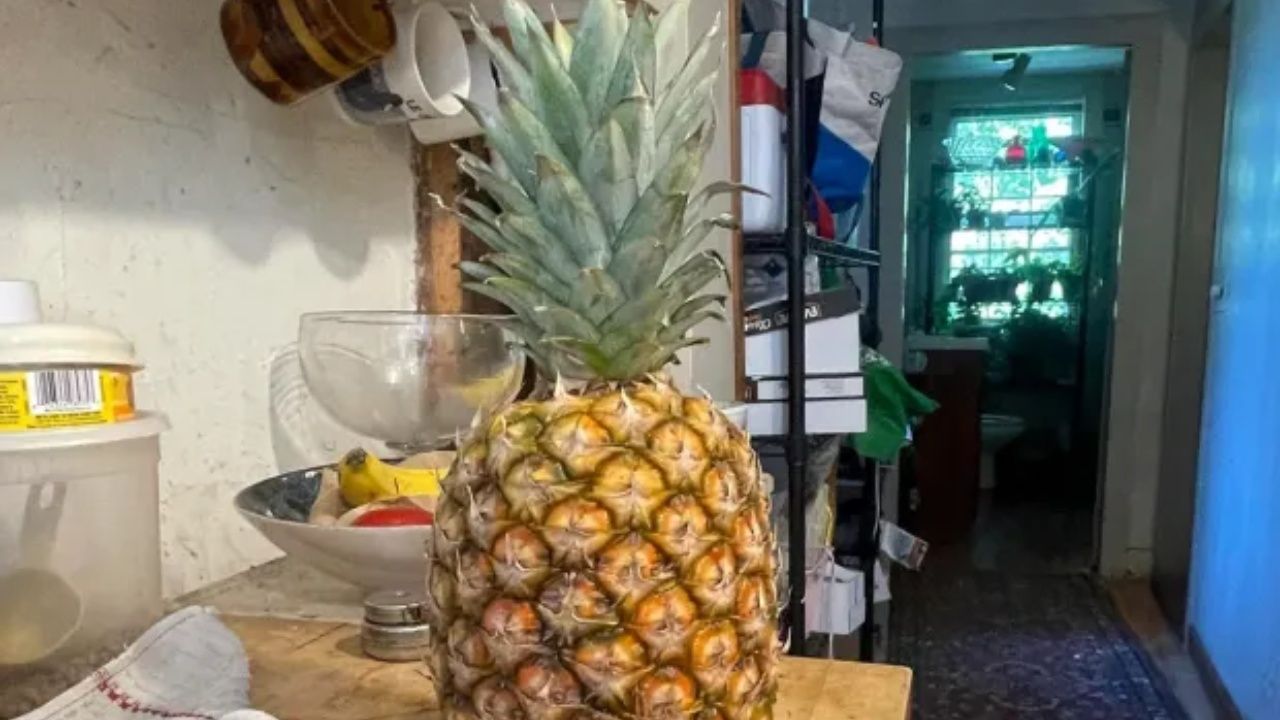 zagadka ananas