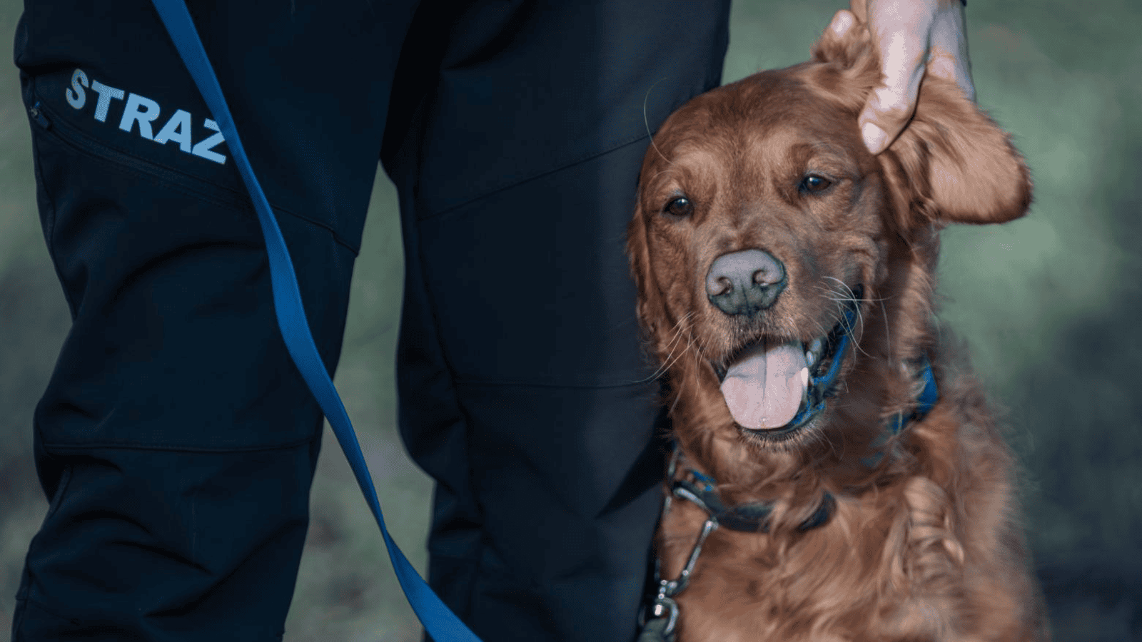 Policja zakończyła poszukiwania. Marta K. odnaleziona martwa