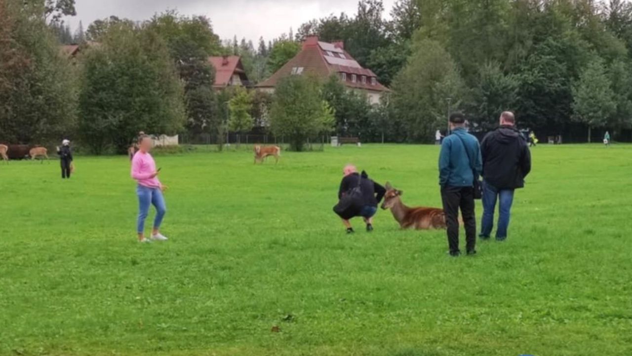 zakopane