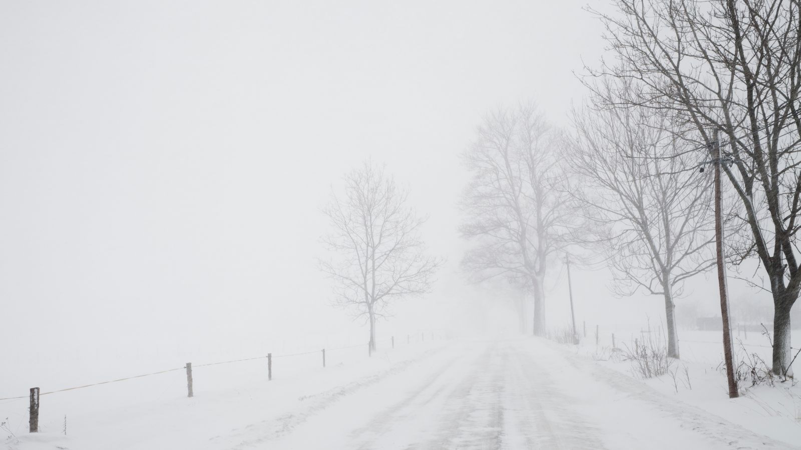 MON ogłosiło alert. Żołnierze WOT mogą być wezwani w trybie pilnym. Wcześniej zaalarmowało RCB