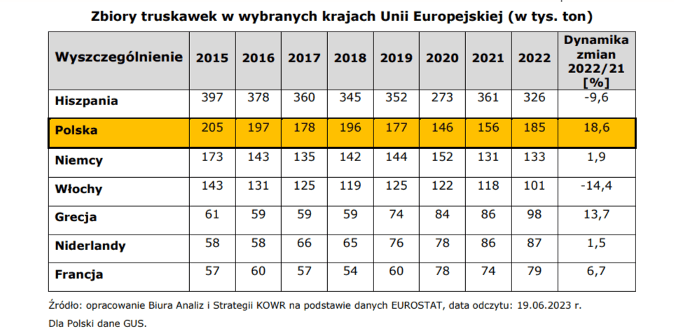 zbiory truskawek.png