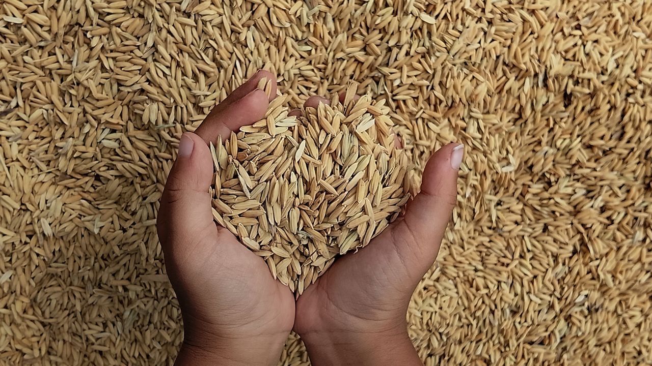 W Polsce ruszyły kontrole pól uprawnych. Rolnicy muszą mieć się na baczności