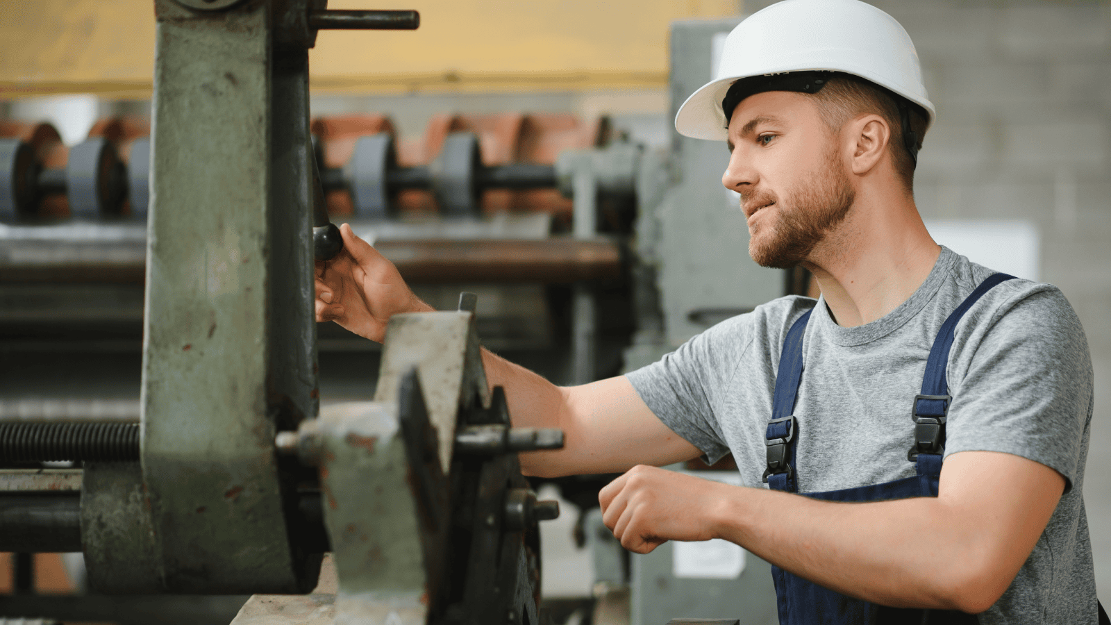 Izabela Nestioruk-Narojek