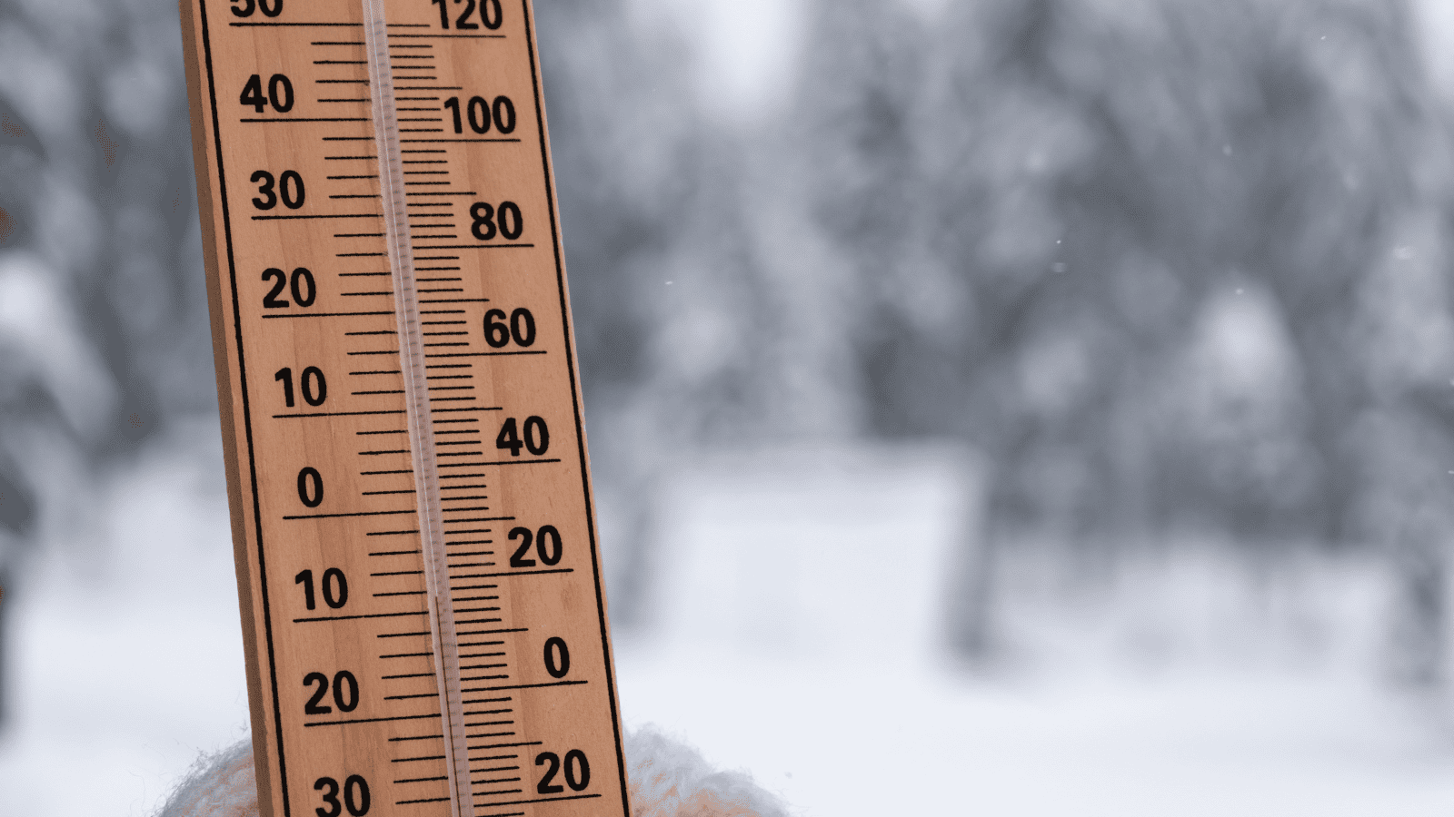 Izabela Nestioruk-Narojek