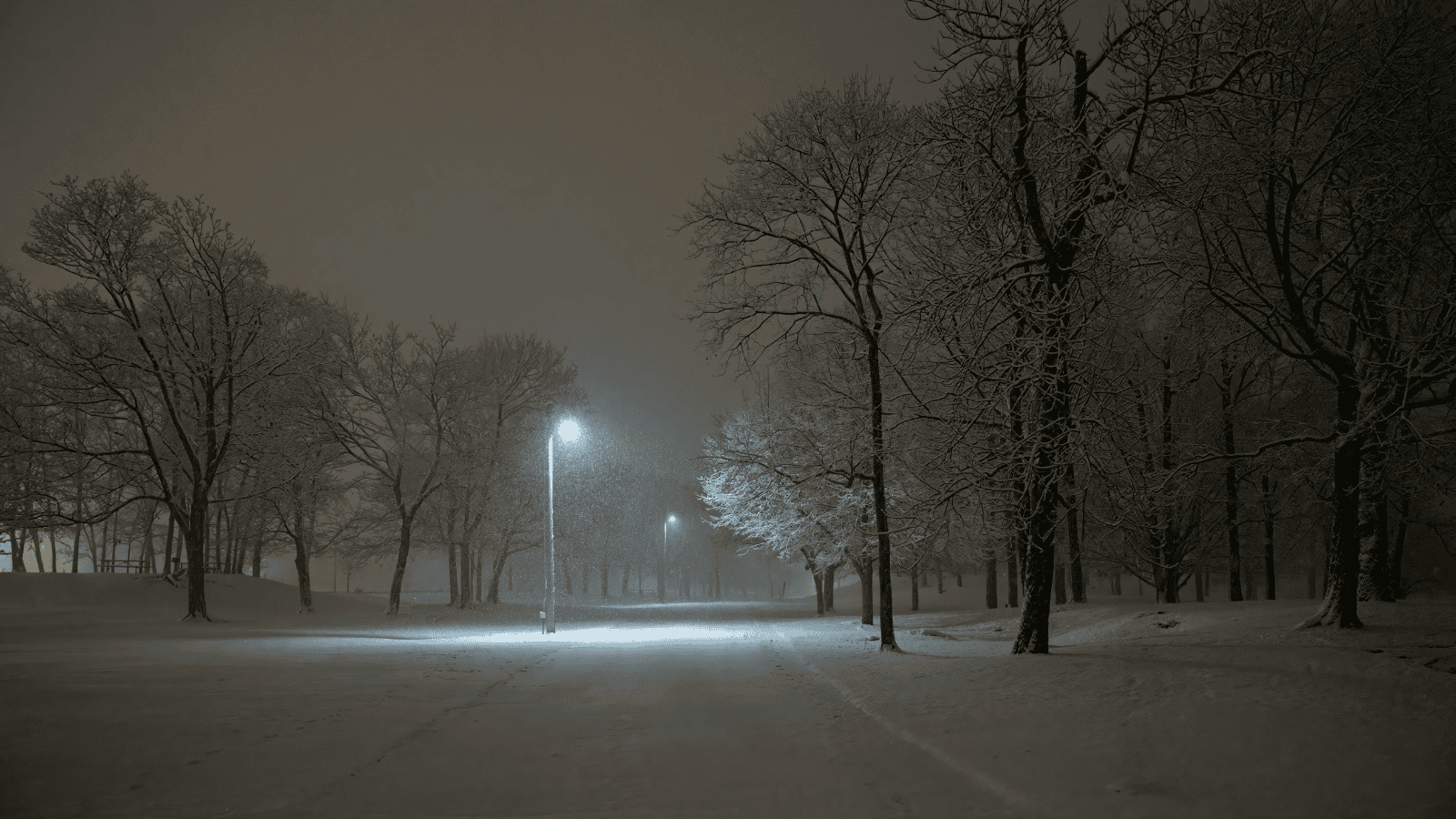 Izabela Nestioruk-Narojek