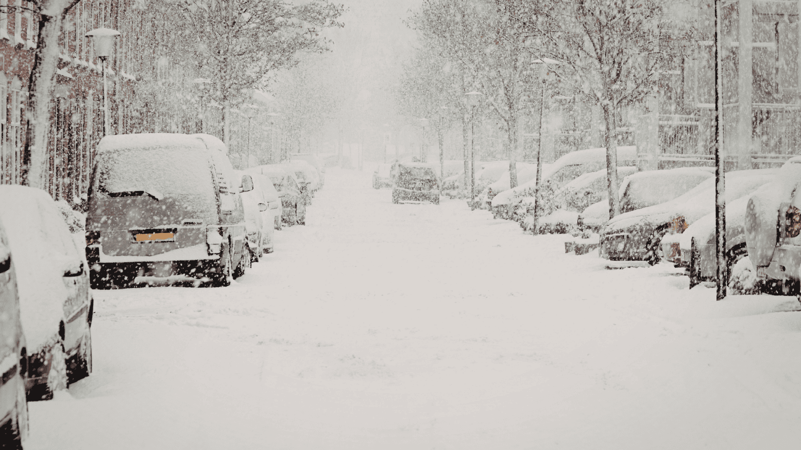 Izabela Nestioruk-Narojek