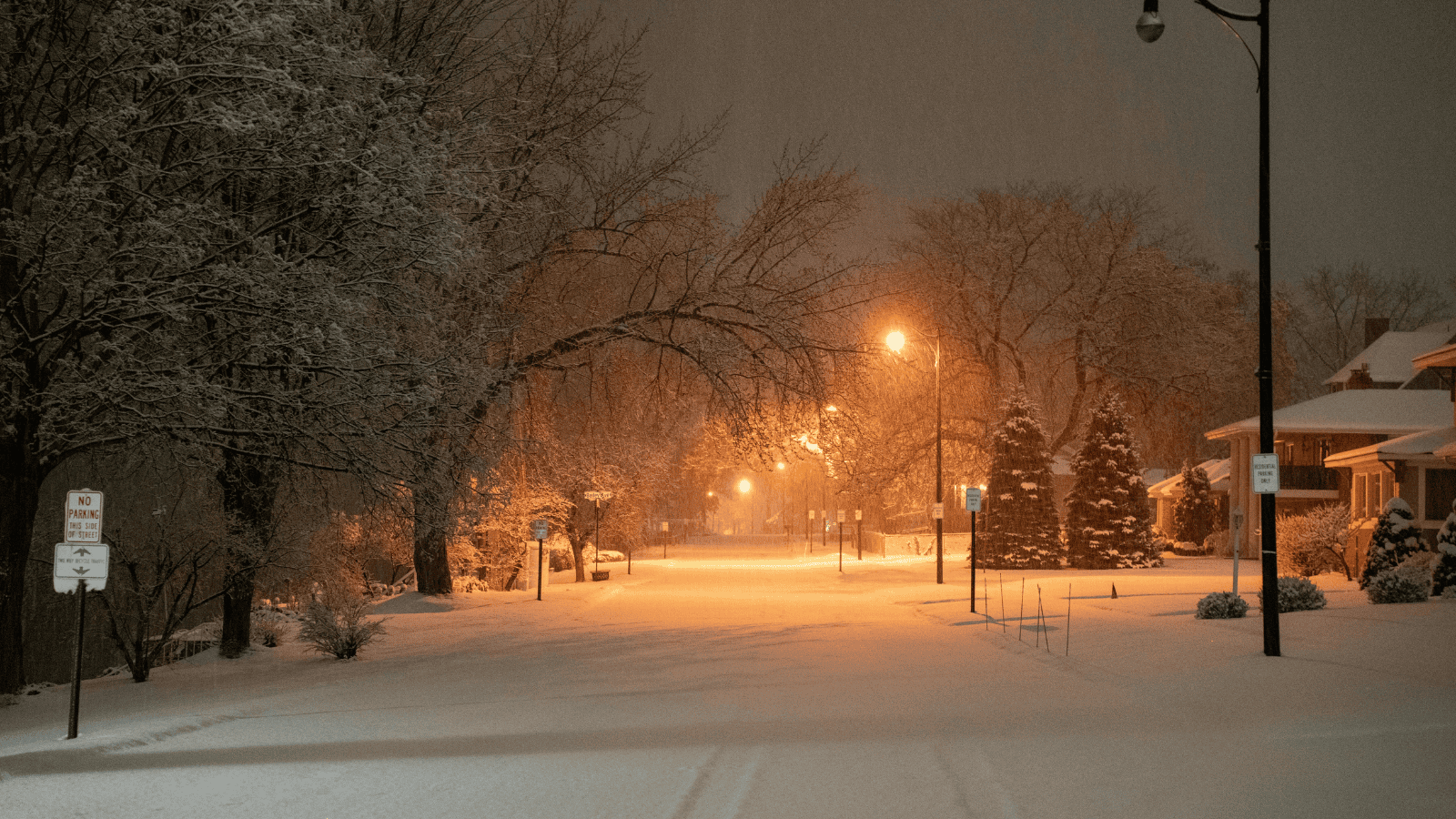 Izabela Nestioruk-Narojek