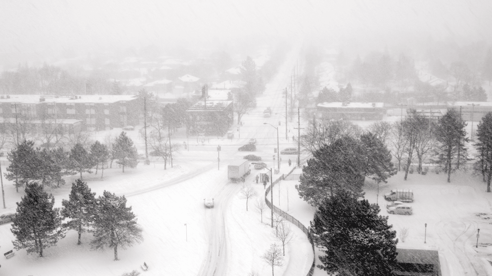 Izabela Nestioruk-Narojek