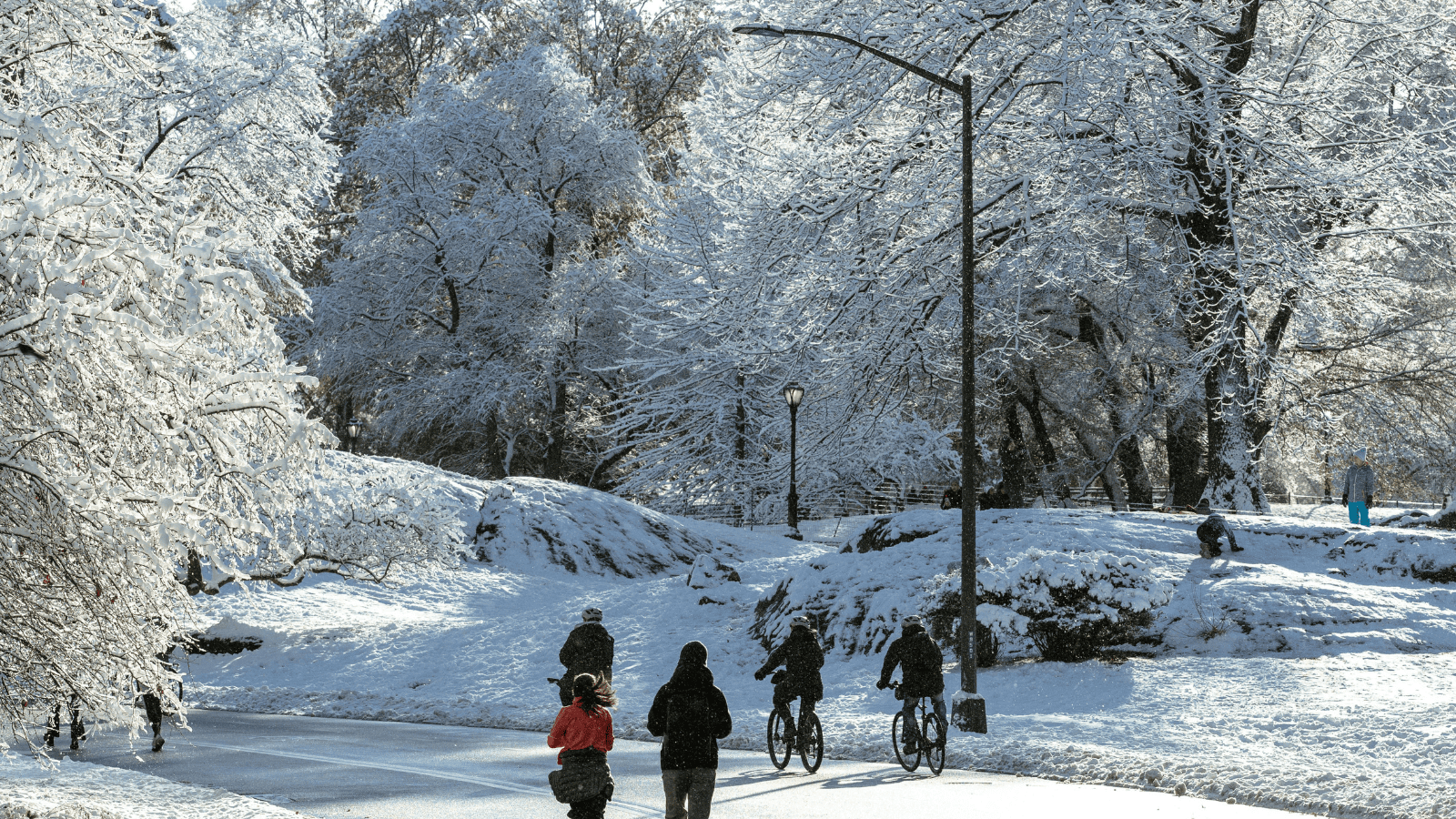Izabela Nestioruk-Narojek