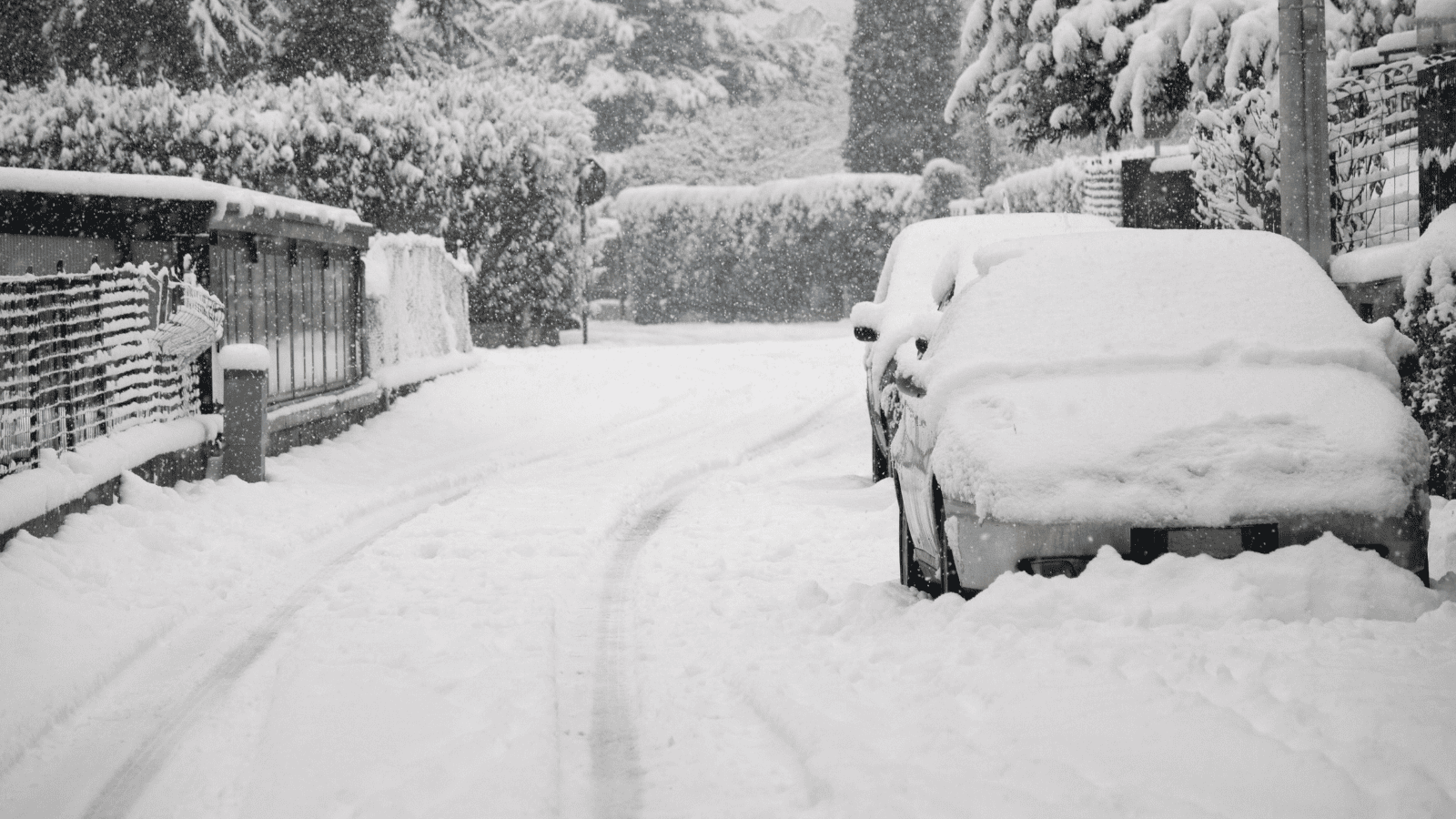 Historyczne ekstrema z 1987 roku wrócą do Polski? Tak będzie już na przełomie stycznia i lutego
