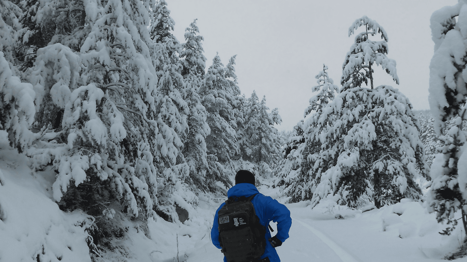 Prognoza meteorologiczna: Intensywne opady śniegu i niskie temperatury w Polsce