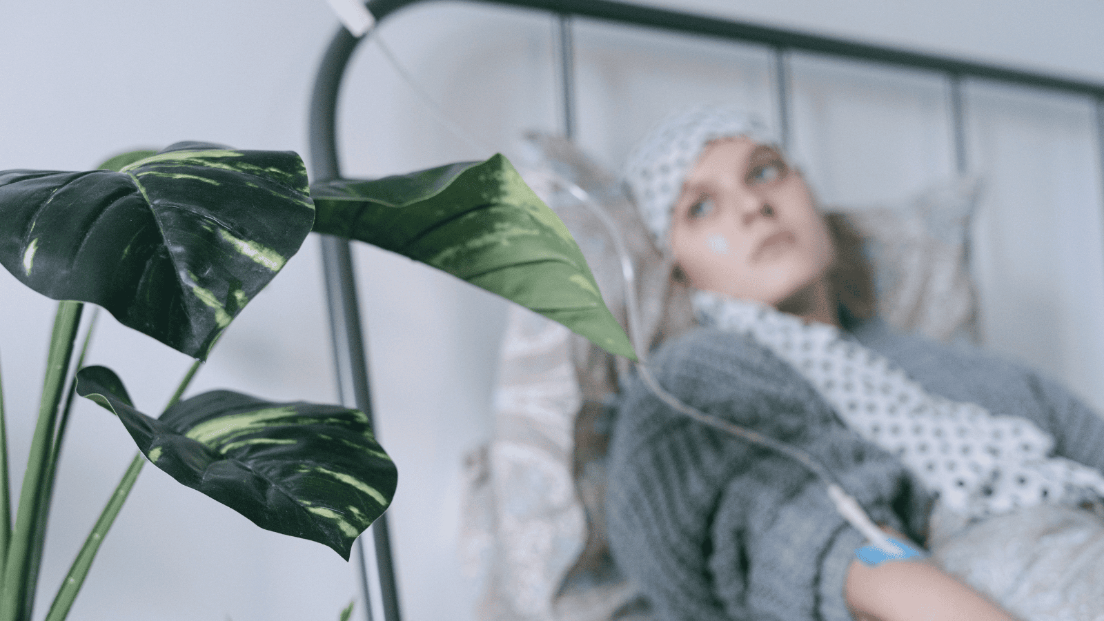 Izabela Nestioruk-Narojek