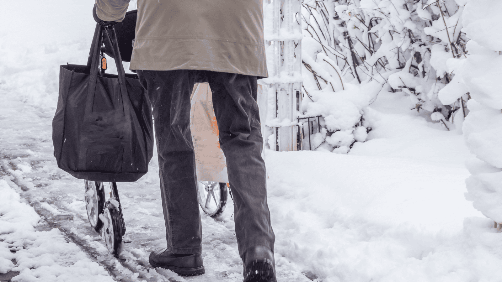 Izabela Nestioruk-Narojek