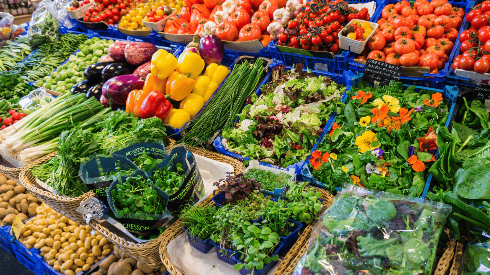 Izabela Nestioruk-Narojek