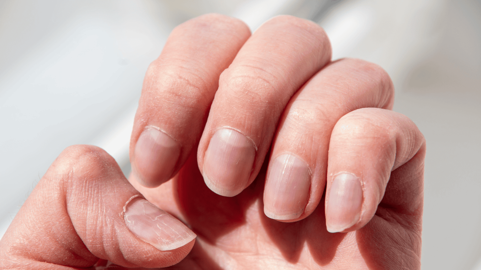 Izabela Nestioruk-Narojek