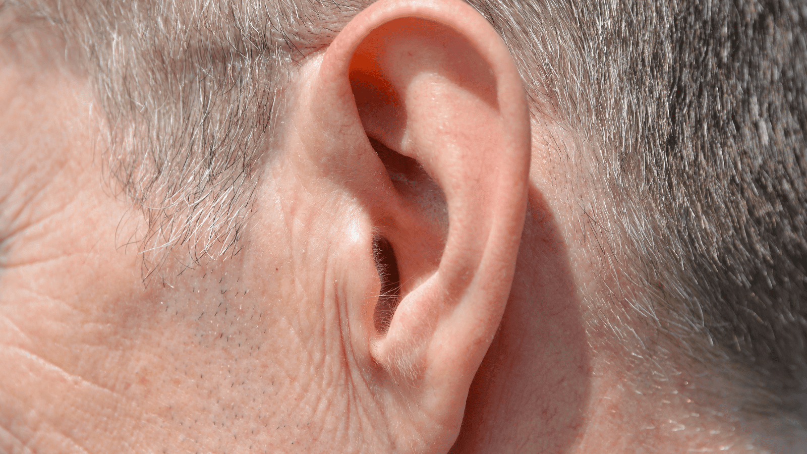 Izabela Nestioruk-Narojek