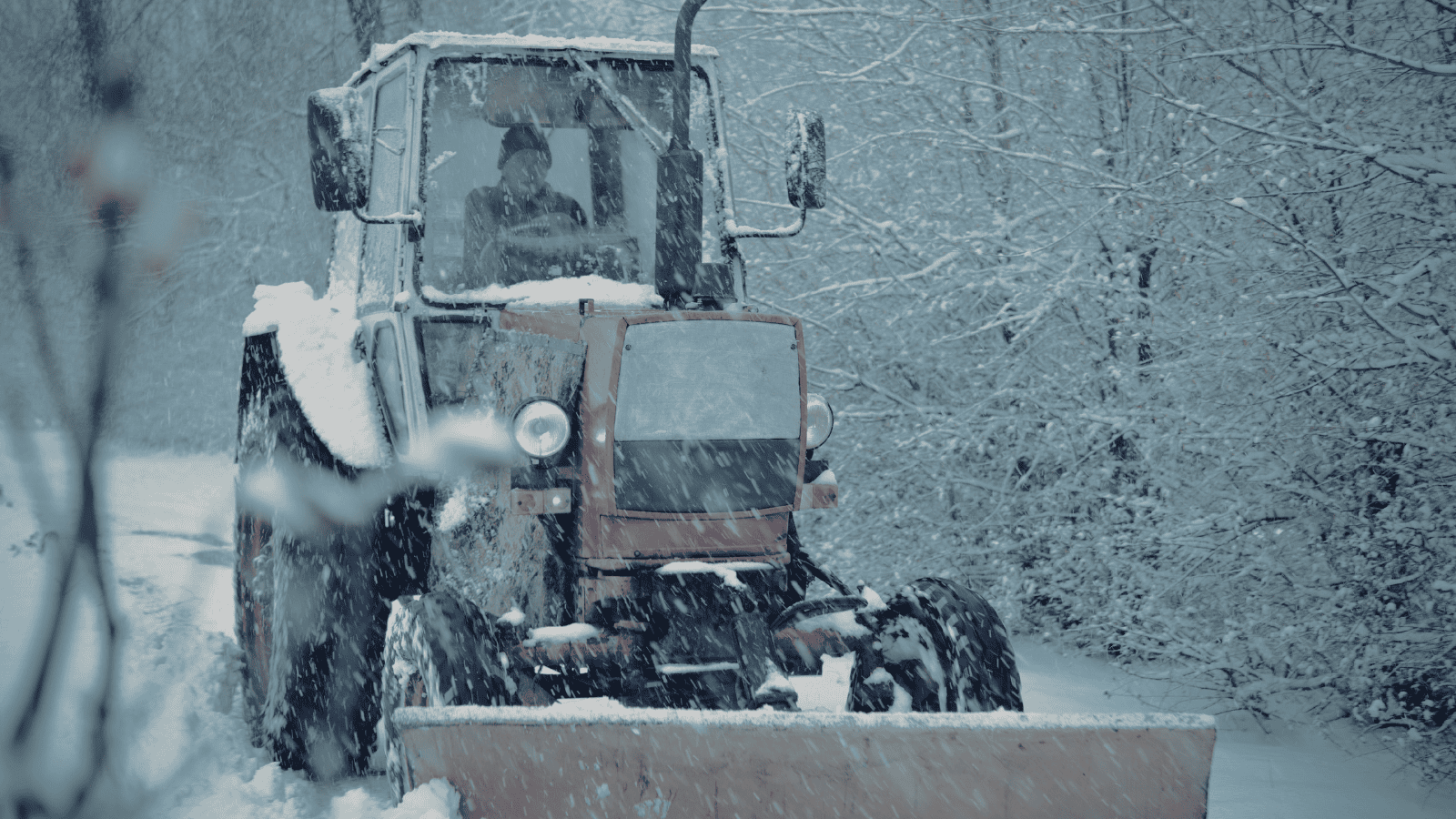 Izabela Nestioruk-Narojek