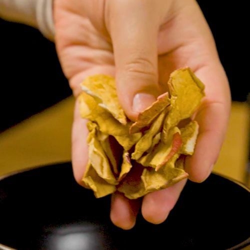 Domowe chipsy jabłkowe i suszone grzyby – smaki lata z suszarką ZFD1004