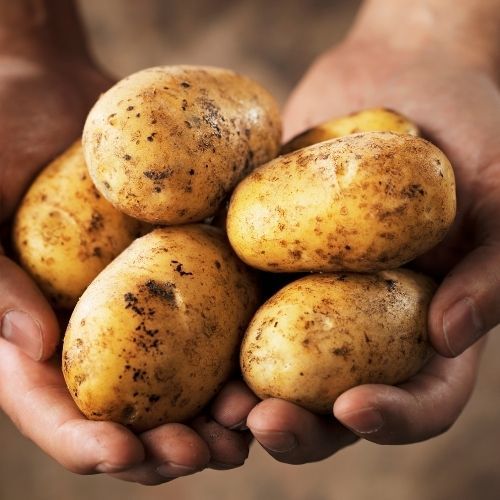 ziemniaki w ręku