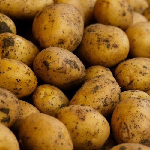 Jak przechowywać ziemniaki na zimę? Kiełki się nie pojawią