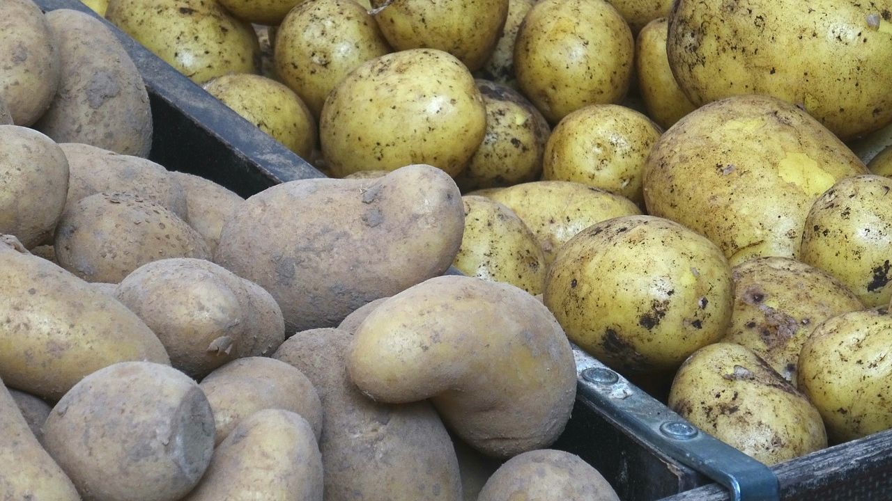 ziemniaki