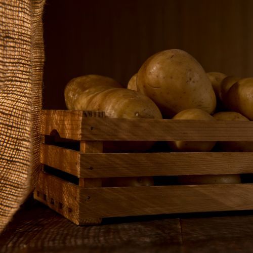 ziemniaki w piwnicy.jpg