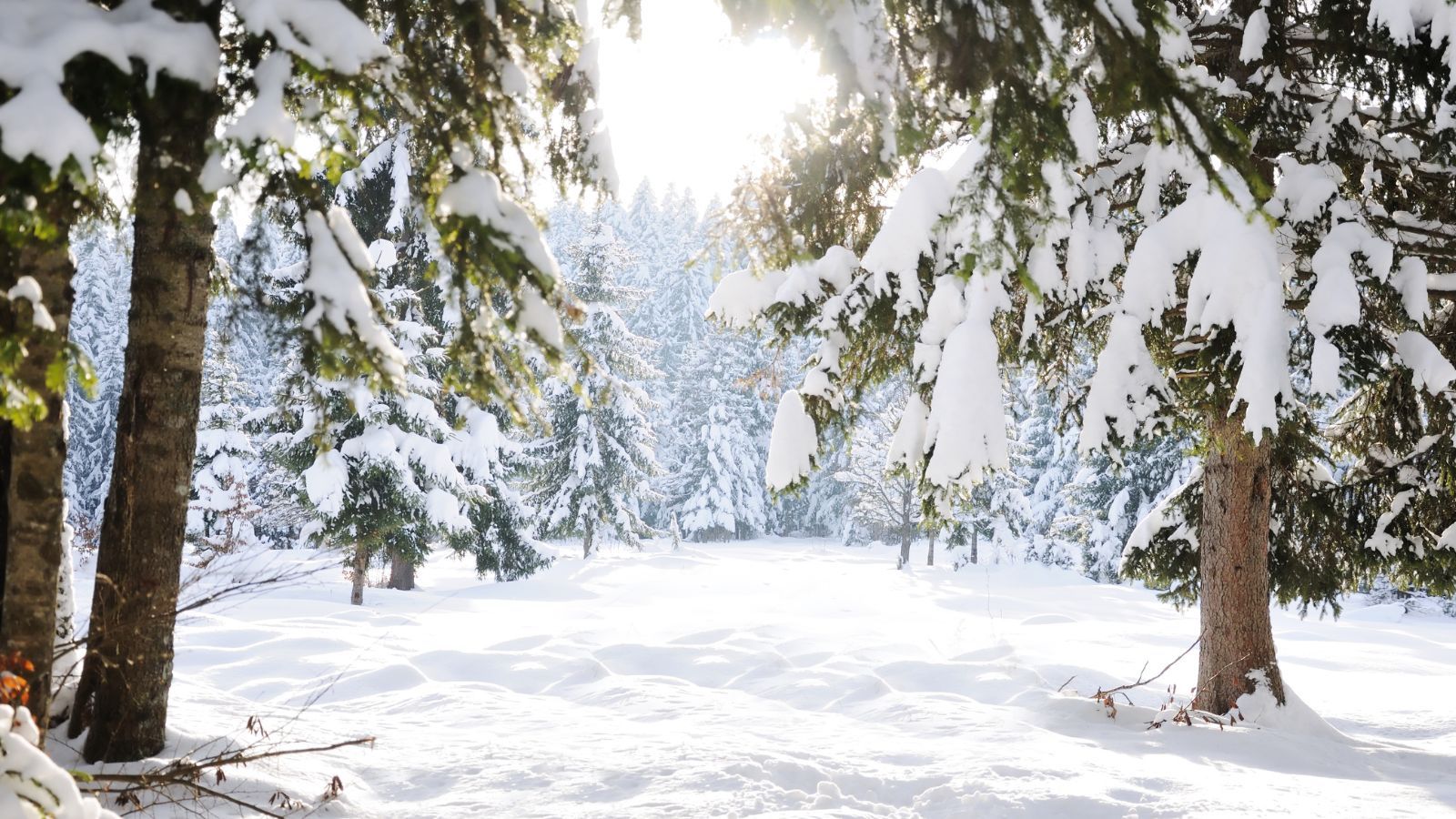 IMGW podało najnowsze prognozy pogody. Zima wraca do Polski, nawet -15 st. C