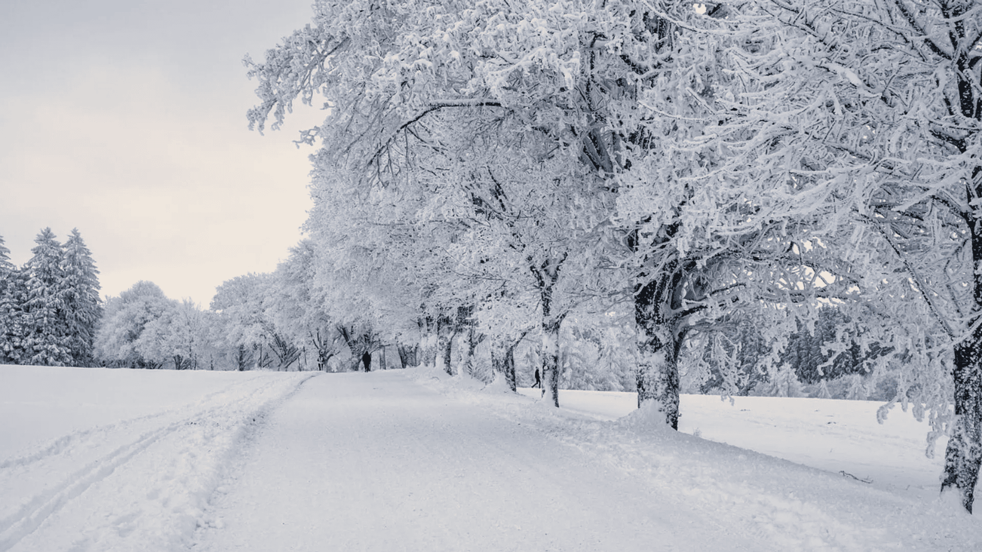 IMGW wydał kolejne ostrzeżenia. Nie tylko srogie zamiecie. W weekend w tych rejonach będzie najgorzej