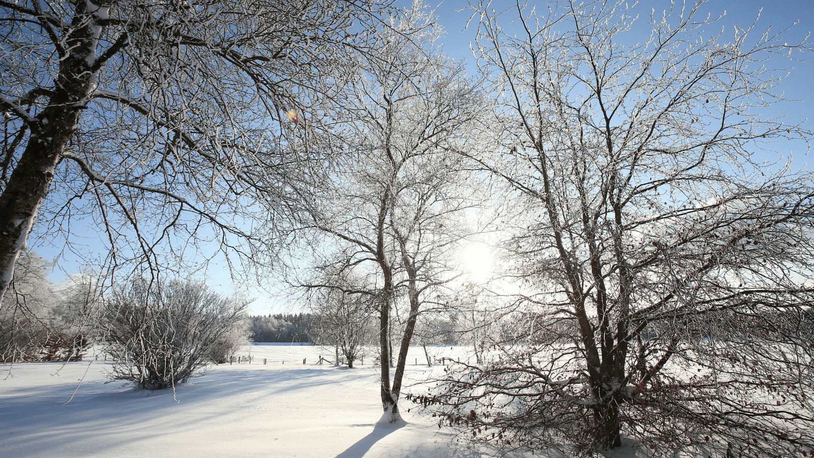 IMGW ostrzega Polaków. Nadciągają mróz i intensywne opady śniegu
