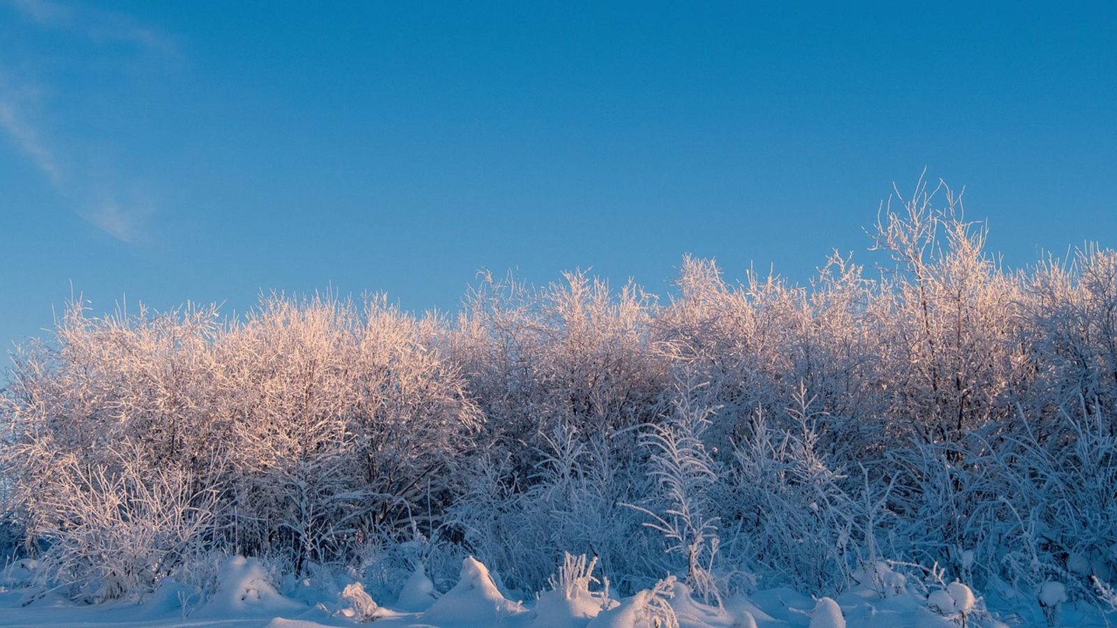 Niesłychane, jaki będzie tegoroczny luty. Czegoś takiego nie było od lat, prognozy mówią jasno