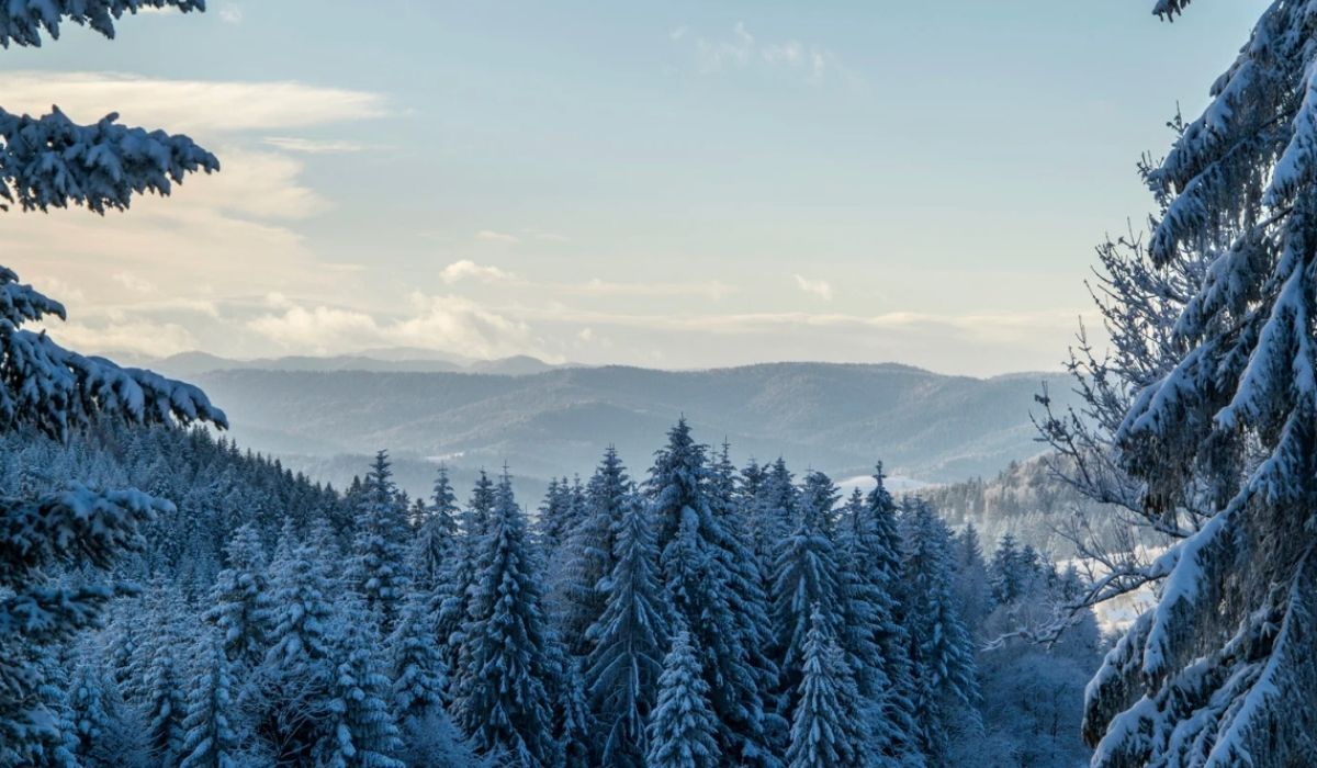 Zmiana w pogodzie przed Bożym Narodzeniem. W tych regionach jest szansa na białe święta