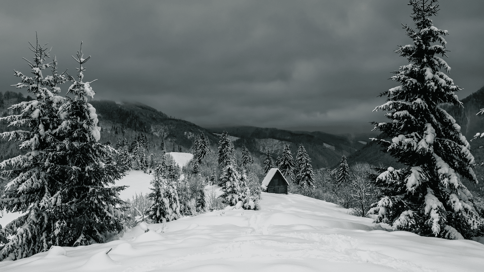 Minus 20 stopni i pół metra śniegu. Prognoza pogody na nadchodzące godziny