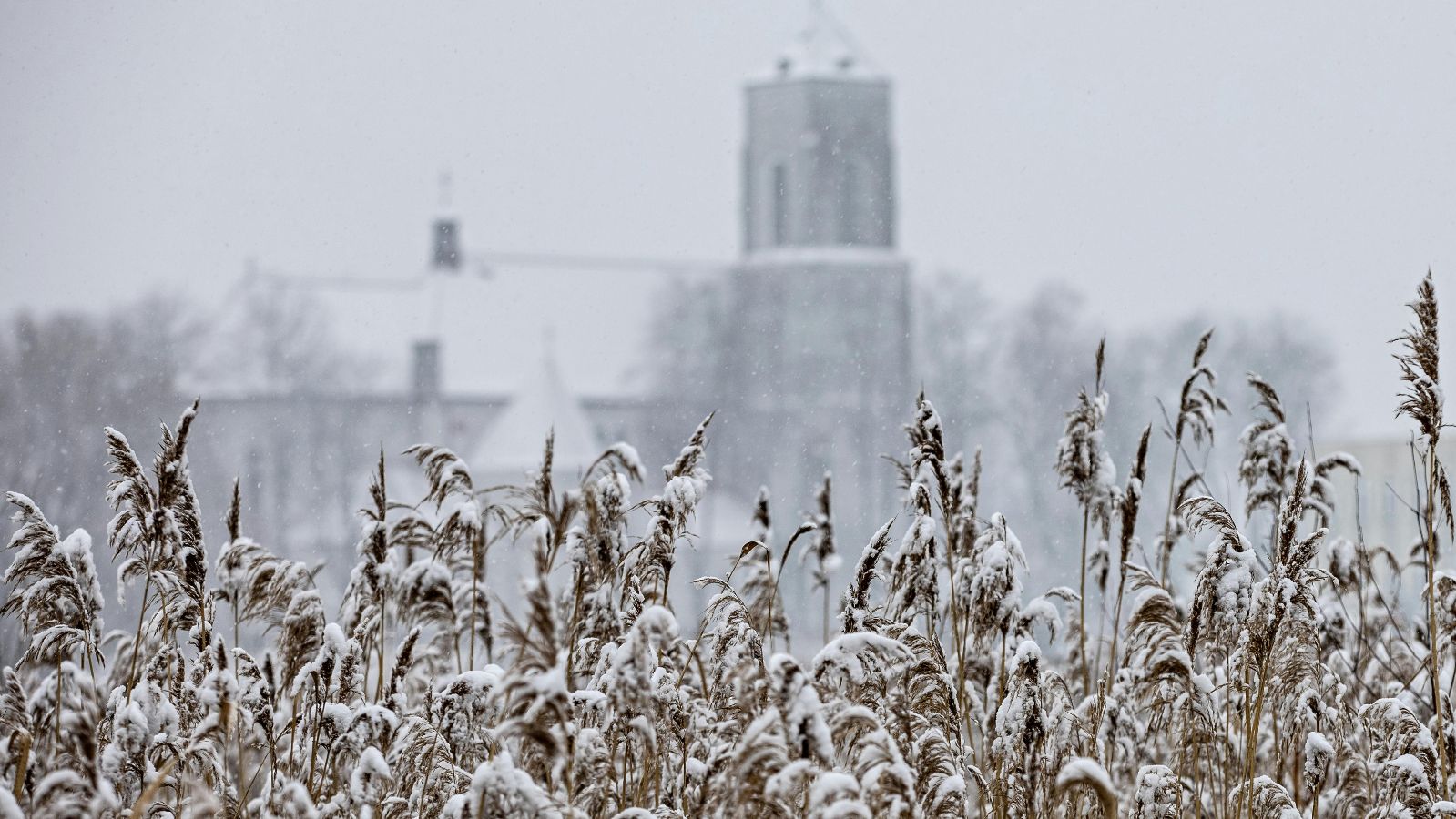 IMGW wydało alerty I. i II. stopnia. W Polskę uderzy niebezpieczne zjawisko
