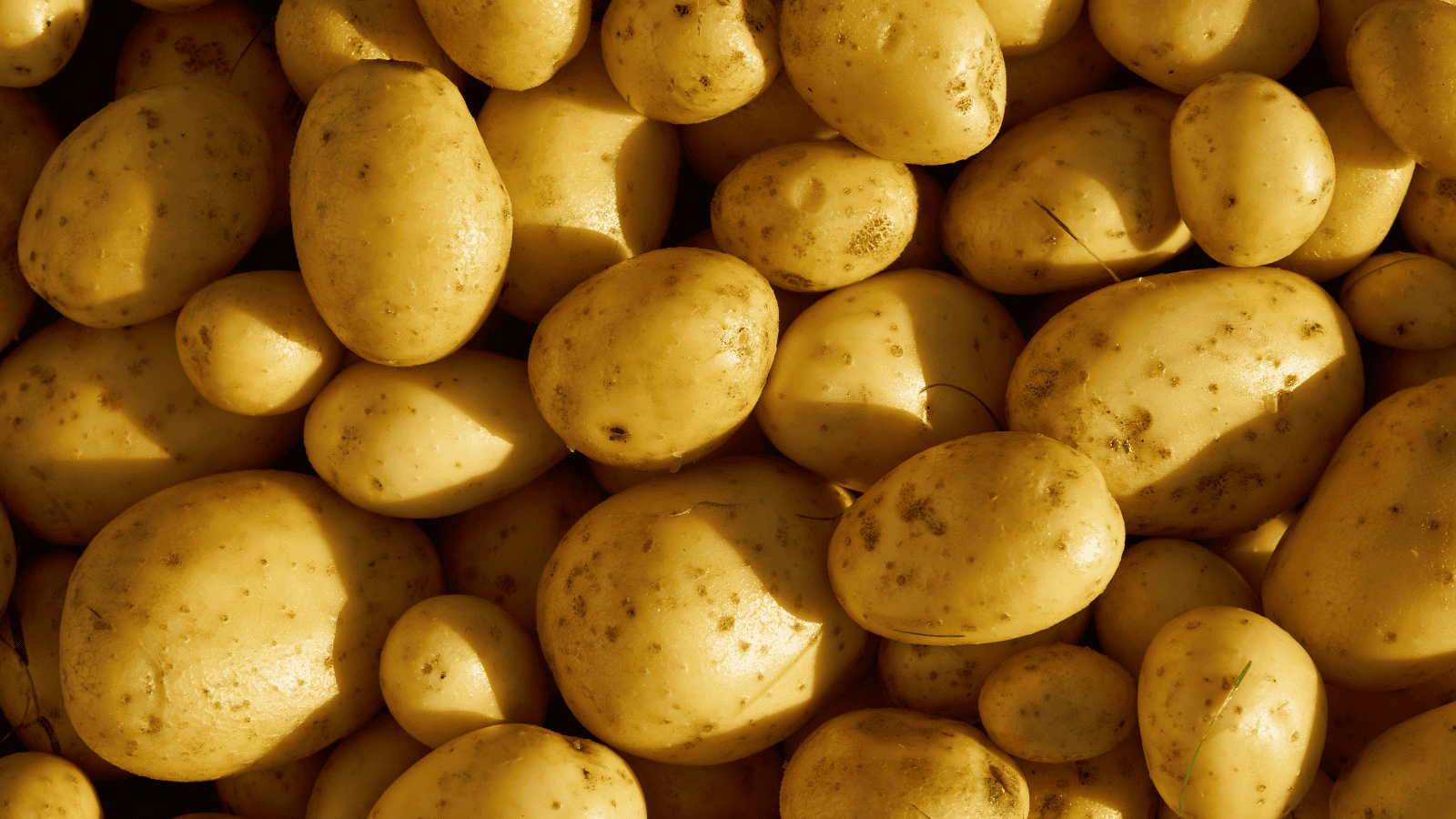 Coś dziwnego dzieje się w Niemczech. Sprzedają nam to na potęgę. Nie mają umiaru