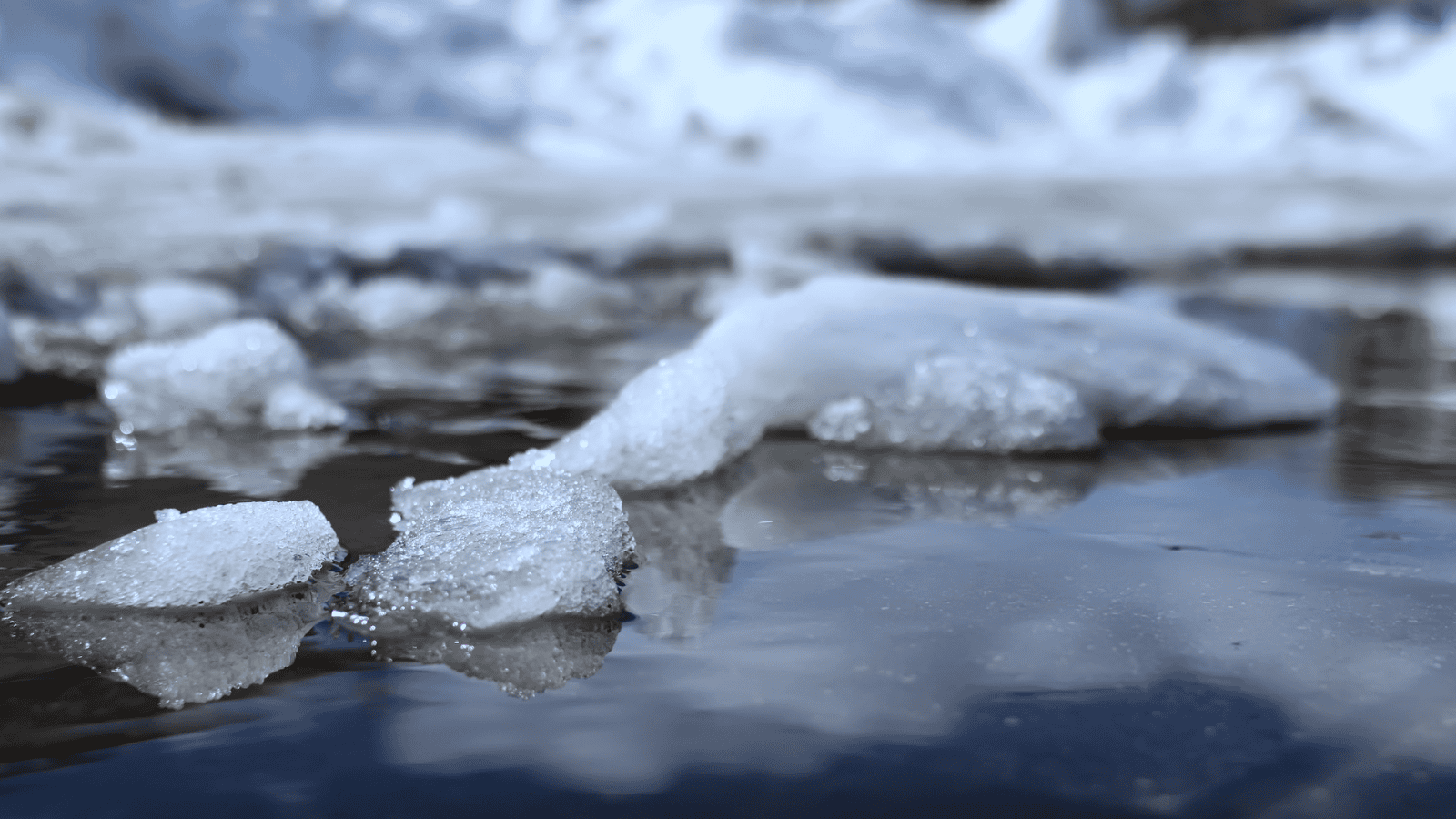 Biała przerwa świąteczna? Polacy muszą się na to przygotować. Śnieg zasypie kilka regionów